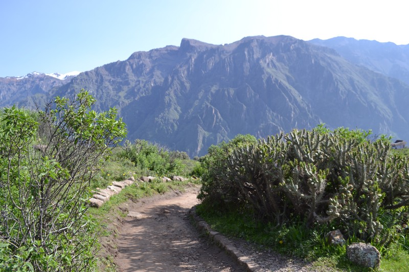 DSC_0048.JPG