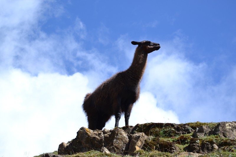 vinicunca perou infos pratiques