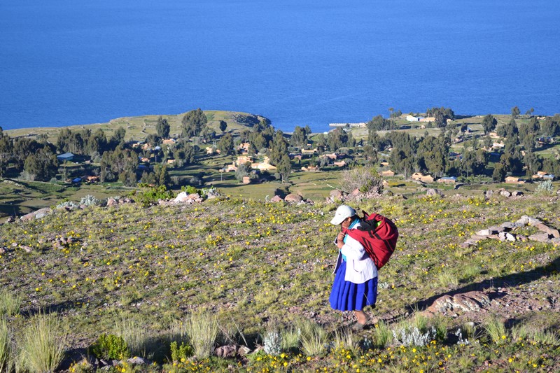 Lac Titicaca au Pérou