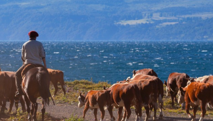 Dans la communauté Mbya Yryapu en Argentine du Nord