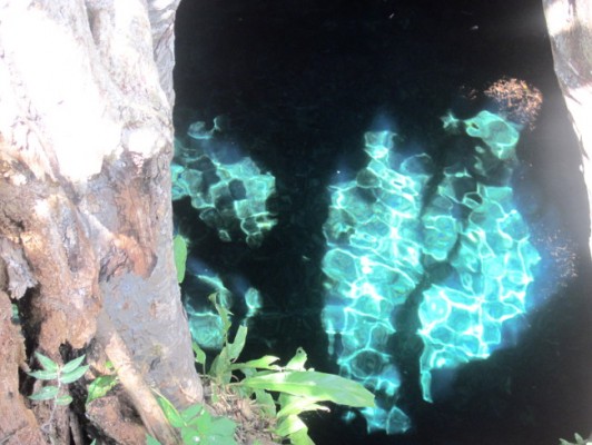 Les cenotes du Yucatan