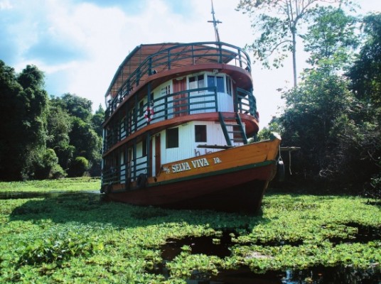 Embarquez à bord du Selva Viva en Amazonie péruvienne !
