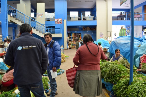 Terres des Andes sur le terrain au Pérou : quelques formations auprès de communautés de la Vallée Sacrée 1/2