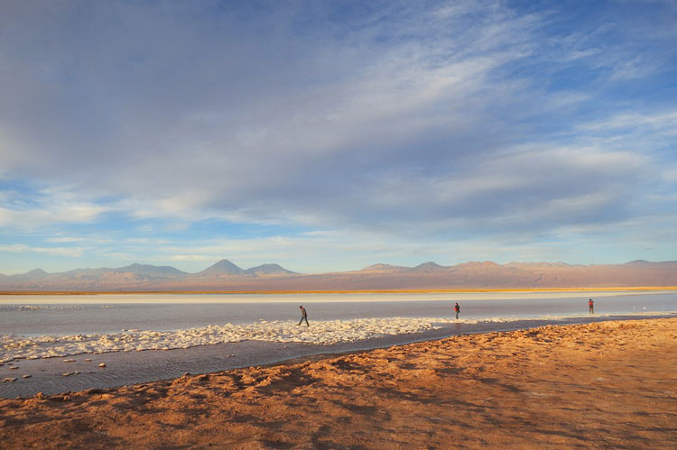 atacama desert sel