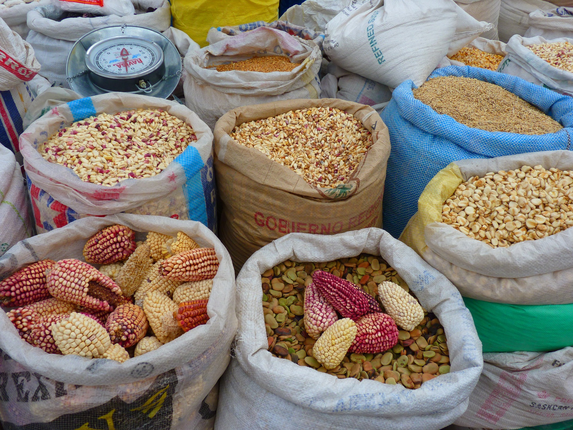 corn-43313_1920.jpg