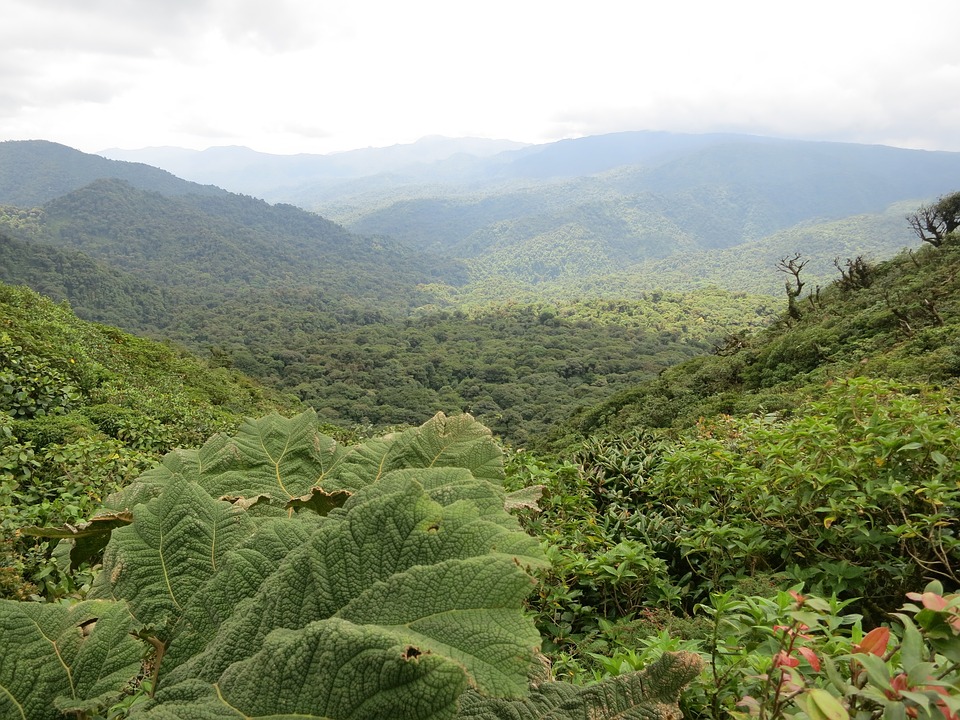 costa-rica-2400159_960_720.jpg