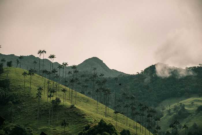 david-restrepo-omJtNsCi5gk-unsplash (1).jpg