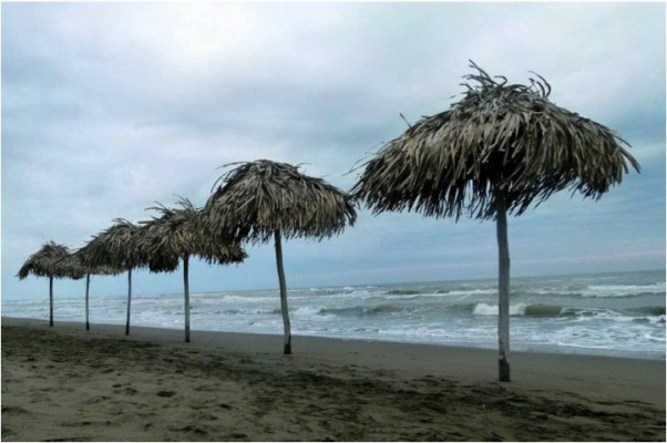 L'état du Veracruz et sa côte d'émeraude