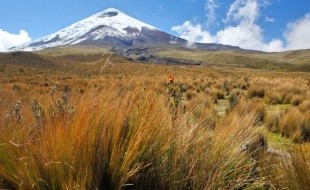 Le Parc national Cotopaxi et le volcan Quilotoa en Equateur : des paradis naturels à quelques kilomètres de Quito
