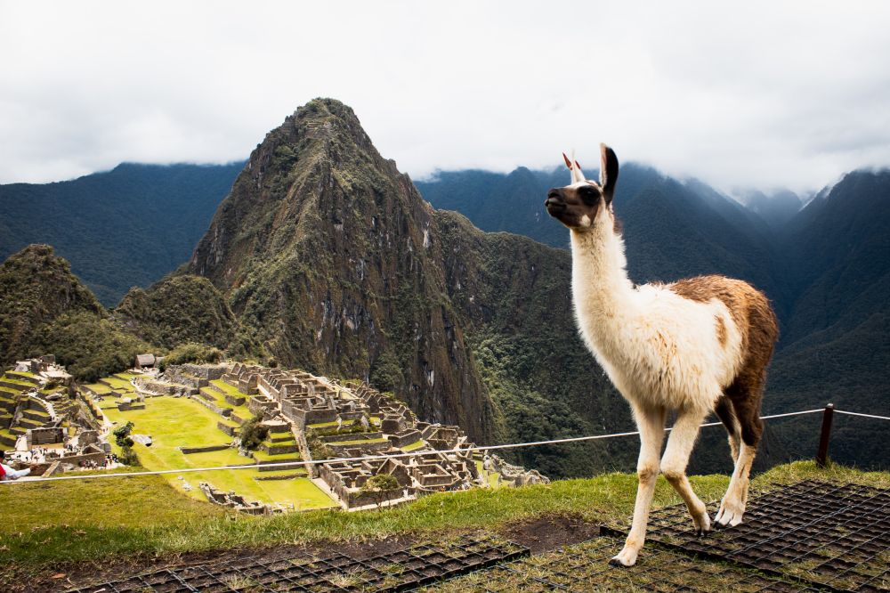 Que faire à Cusco ? Notre top 5 des activités à ne pas manquer !