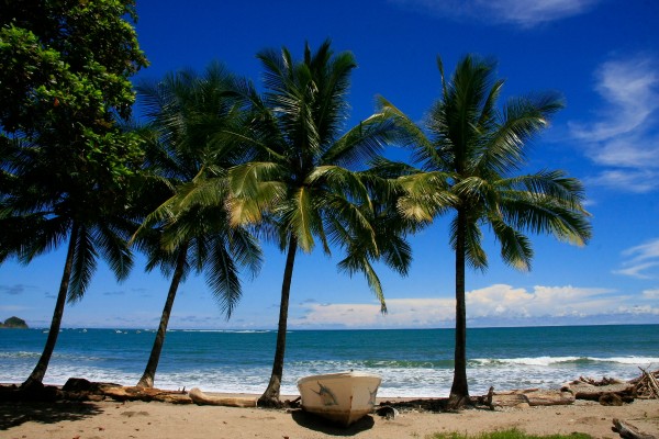 Les plages sauvages du Pacifique