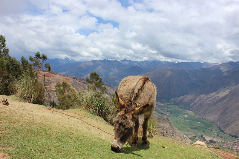 urubamba