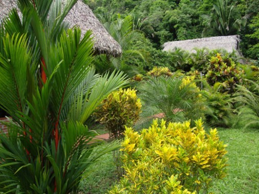 Le Lodge Candelaria, une escale de douceur