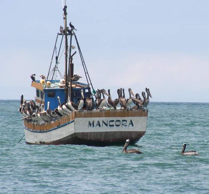 mancora-1697426_1280.jpg