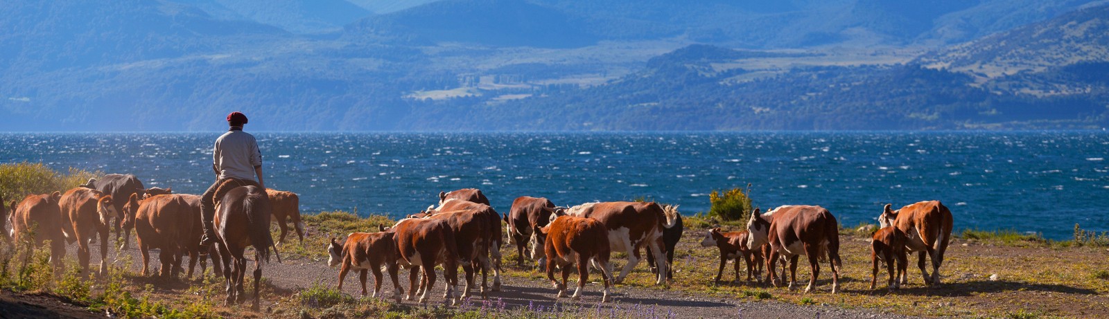 Voyage en Argentine