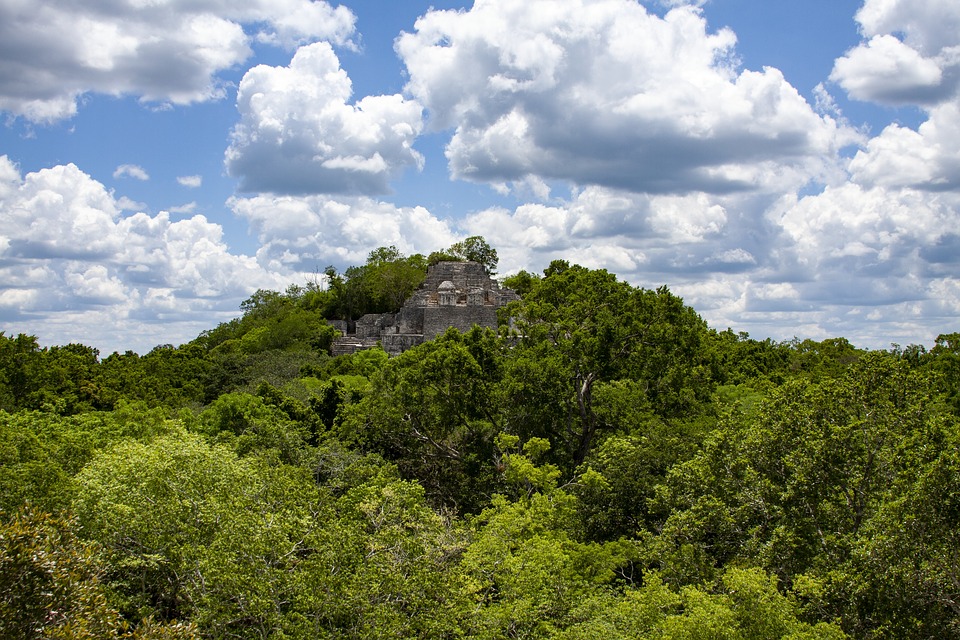ruins-of-calakmul-3921773_960_720.jpg