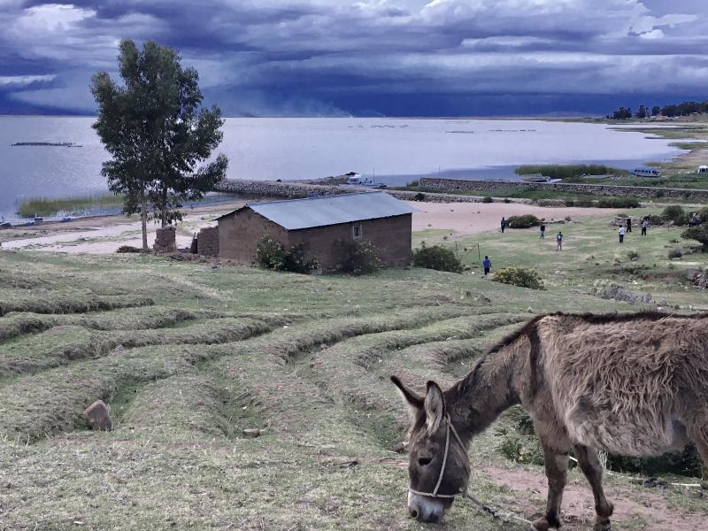 Avis de Famille Delannoy  - Voyage en Pérou