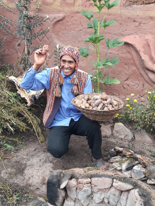 Déjeuner Pachamanca à Humasbamba