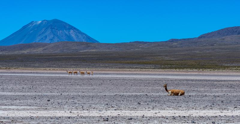 Avis de Christine B. - Voyage en Bolivie