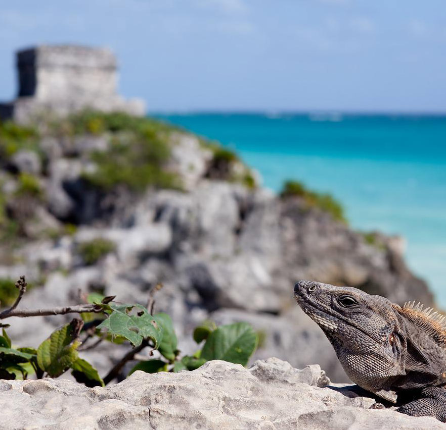 tulum.jpg