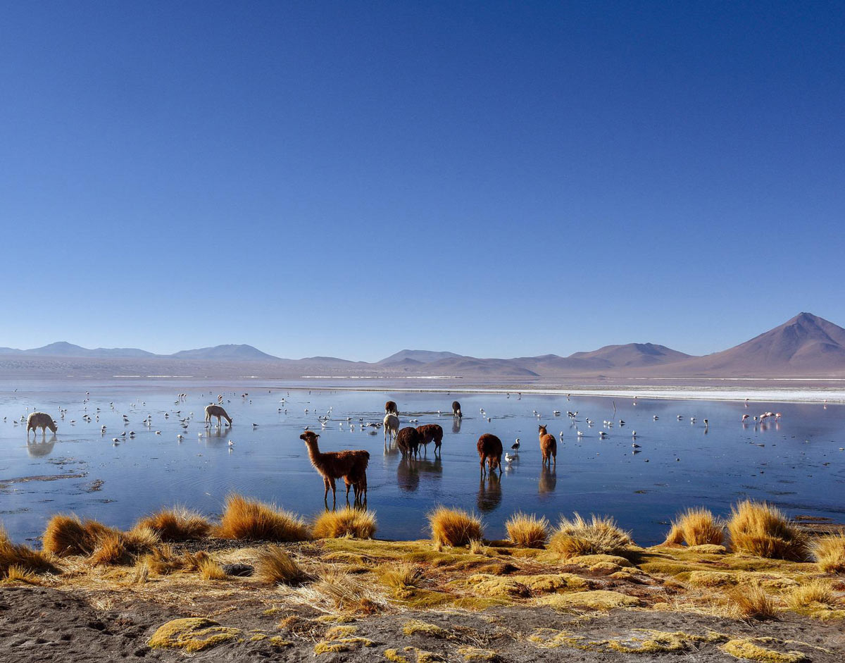 uyuni.jpg