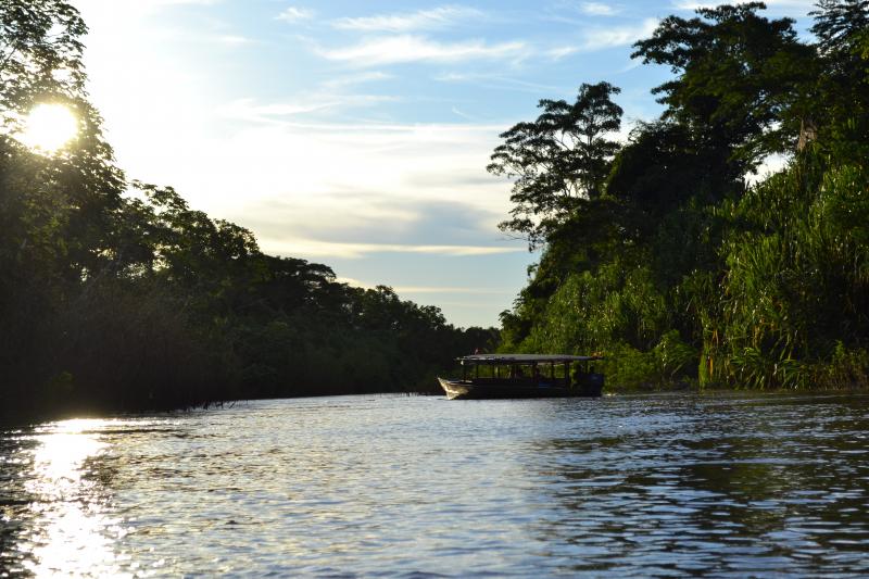 Jour 12 : Cusco - Puerto Maldonado : aventure dans la jungle péruvienne