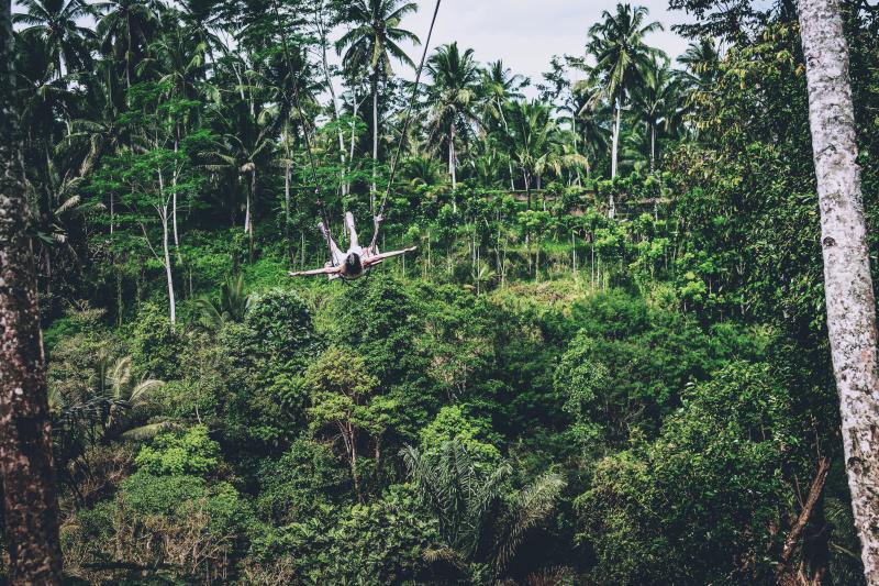 Jour 13 : Randonnée dans la jungle et visite d'une réserve animalière