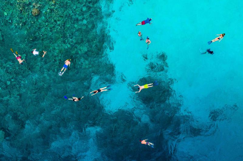 Jour 11 : Snorkeling dans les récifs colorés ! 