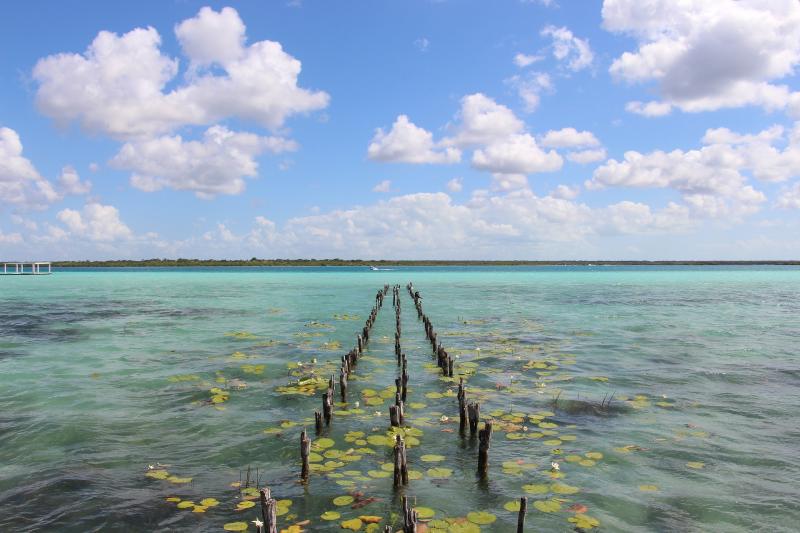 Jour 11 : Mille nuances de bleu à Bacalar