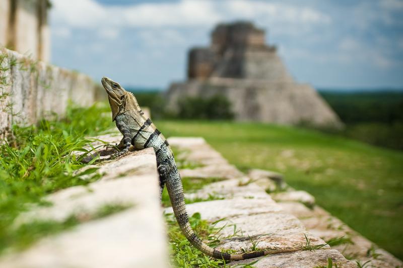 Jour 3 : Valladolid - Mérida – Chichen Itza