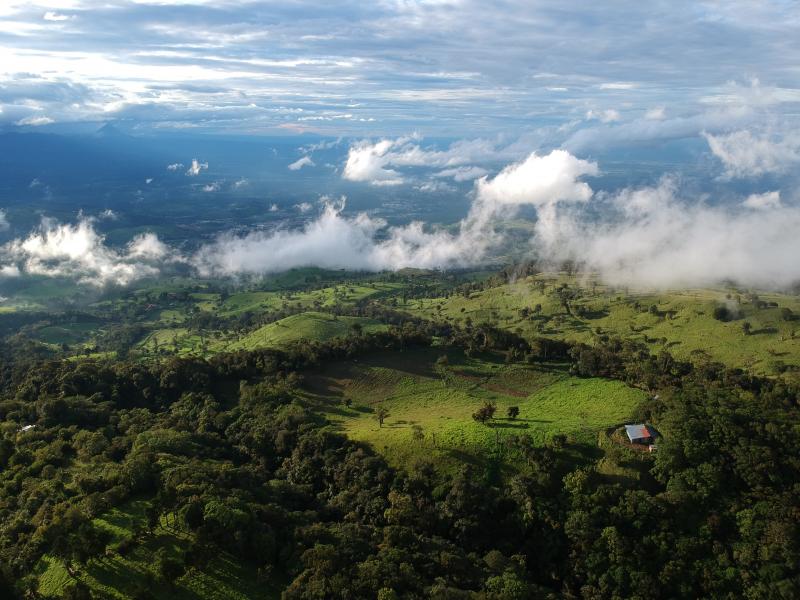 Jour 8 :  De Arenal a la foret nuageuse  de Monteverde