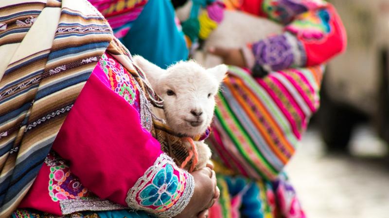 Jour 3 : Un voyage dans le temps entre Cusco - Pisac – Amaru et chez l'habitant dans la Vallée sacrée des Incas