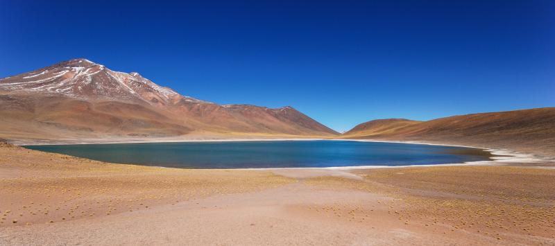 Jour 4 : De Putre au Parc national Lauca et lac de Chungara 