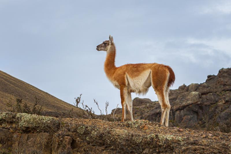 Jour 2 : De Santiago à Arica, sur la côte Pacifique