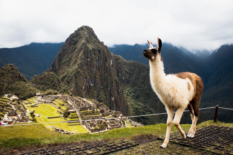 Jour 11 :  La merveille Machu Picchu