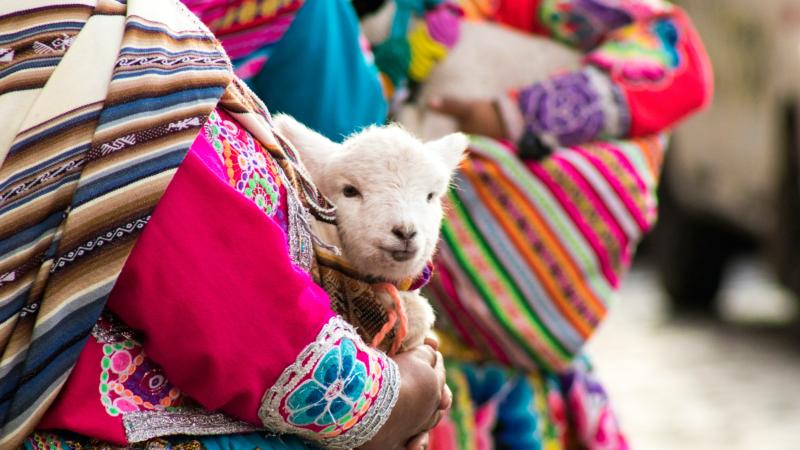 Jour 7 :  De l'Altiplano aux Andes, chez l'habitant à Raqchi