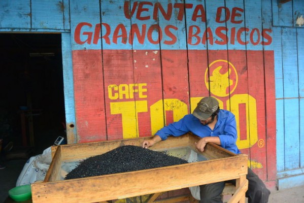 JOUR 6. COMMUNAUTE EL CHILE - SAN JORGE - OMETEPE