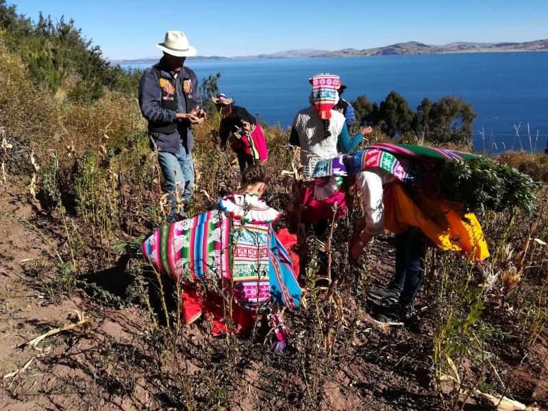 Jour 8 – Le Lac Titicaca