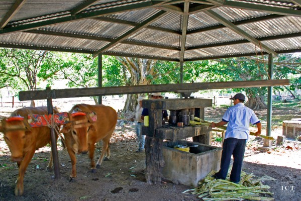 Jour 3. Finca Sura