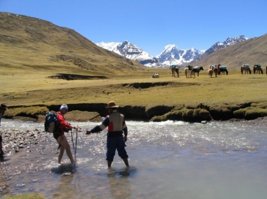 Jour 7 : Carhuacocha – Paso Siula (4830 m) – Huayhuash (4350 m.) 