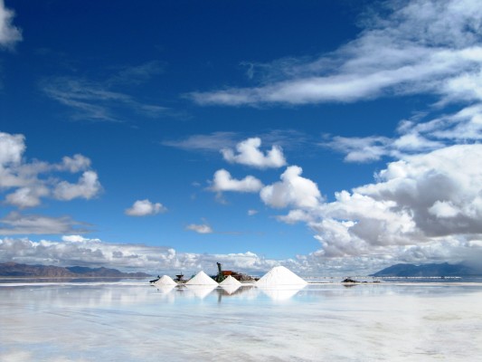 Jour 11 : Salinas Grandes 