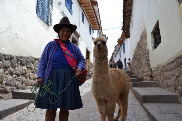 Jour 15 : Pérou – Péninsule de Capachica – Juliaca – Cusco 
