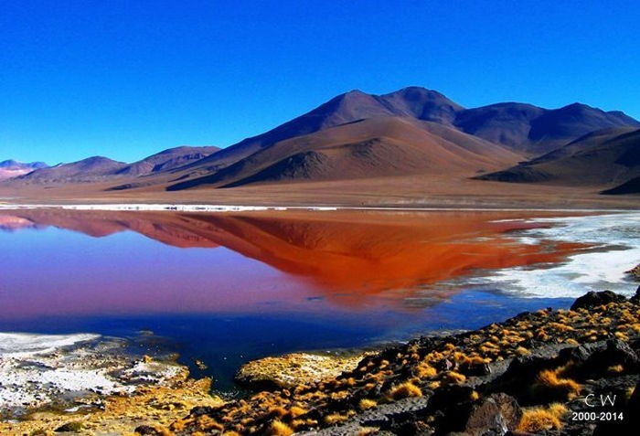 Jour 5 : Bolivie – San Pedro de Atacama – Laguna Verde – Laguna Colorada