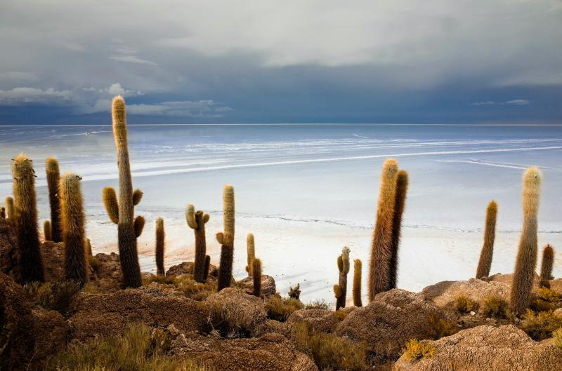 Jour 7 : L'incroyable Salar d'Uyuni en Bolivie et nuit à Uyuni