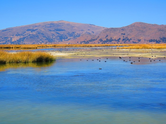 Jour 10 : Kayak sur le Lac Titicaca