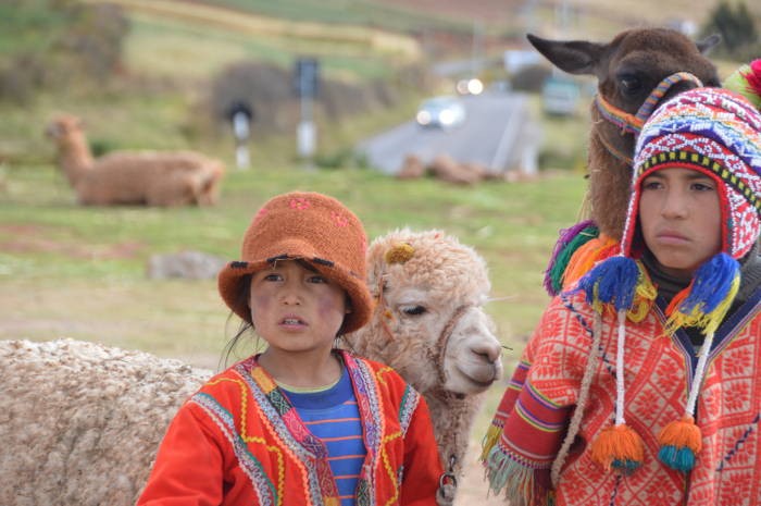 Jour 14 : Awanacancha – ruines de Pisac – marché de Pisac – Chinchero