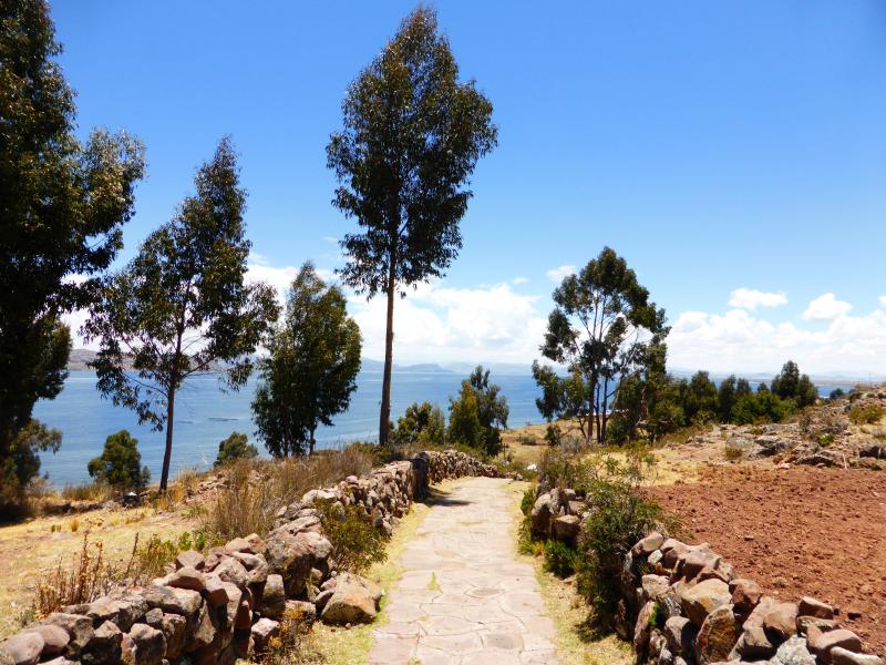 Jour 7 : Cusco – Lac Titicaca : Juliaca – Llachón 