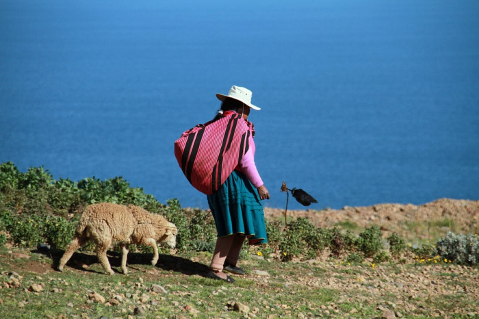 Jour 6 : Arequipa – Lac Titicaca