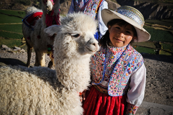 Jour 2 : Visite de Lima comme un local – Paracas