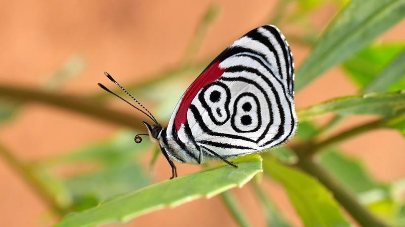 JOUR 16 : PARC NATIONAL MADIDI